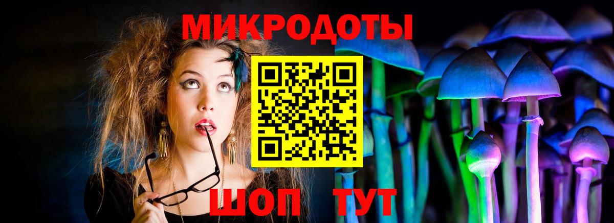 Златоуст  Галлюциногенные грибы мицелий  Вход с VPN 